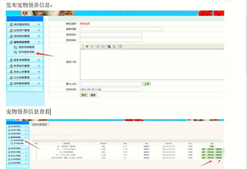 精品畢設 java javaweb寵物領養(yǎng)平臺管理系統(tǒng)完整源碼
